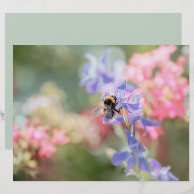 Humla vårblommor scrapbook papper ark (Fram/baksida)
