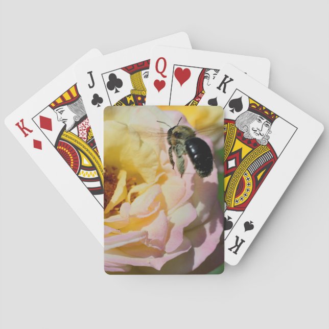 Humla vid Rosa ros Casinokort (Baksidan)