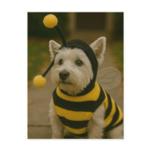 Humla Westie Halloween