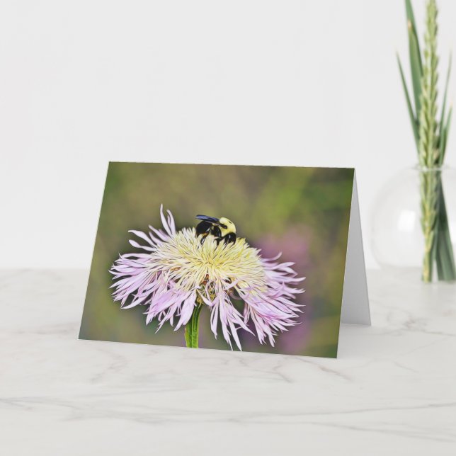 Humla Wildblomsterskript, John 1:16 Kort (Framsida)