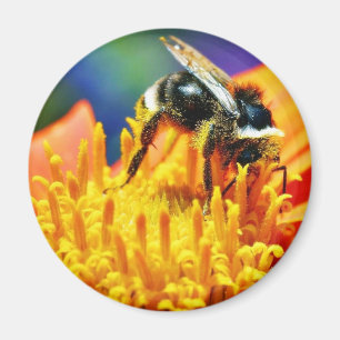 Humlablommamakro Magnet