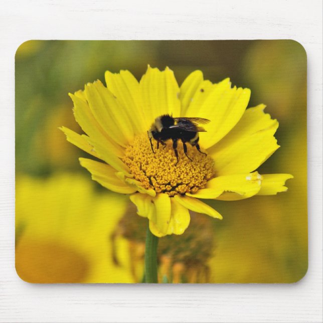 Humlamousepad Musmatta (Framsidan)