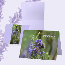 Humlebivete och humla lila tom kort