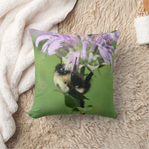 Humlor På Blommande Ängsmon Nära Bild Kudde