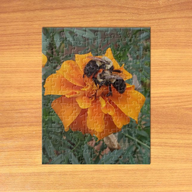Humlor på Ringblomma Pussel (Bumblebees on Marigold Flower Jigsaw Puzzle on Table)