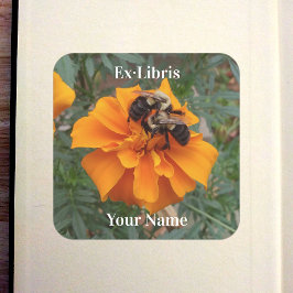 Humlor på sammetsblomma exlibris fyrkantigt klistermärke