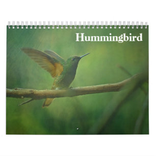 Hummer 2025 kalender