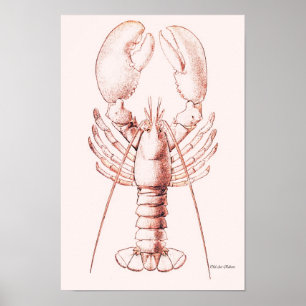 Hummer för amerikan för hummeraffisch~ poster