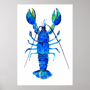 Hummer i blues poster