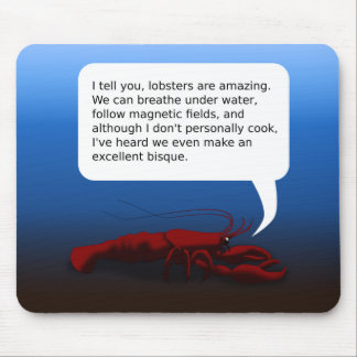 Hummer Musmatta