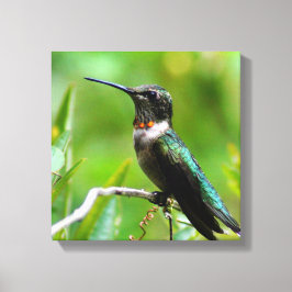 Hummer Ord! Canvastryck