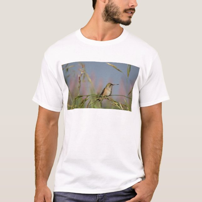 hummerfågel på gräs t-shirt (Framsida)