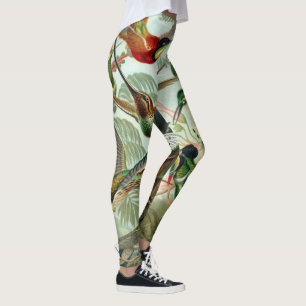 Hummerfåglar av Ernst Haeckel Leggings