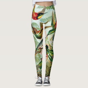 Hummerfåglar av Ernst Haeckel Leggings