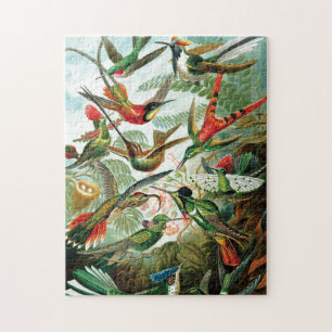 Hummerfåglar av Ernst Haeckel Pussel