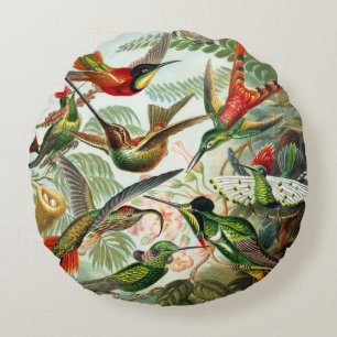 Hummerfåglar av Ernst Haeckel Rund Kudde
