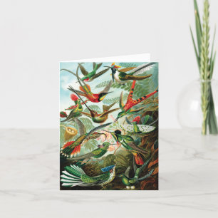 Hummerfåglar av Ernst Haeckel Tack Kort