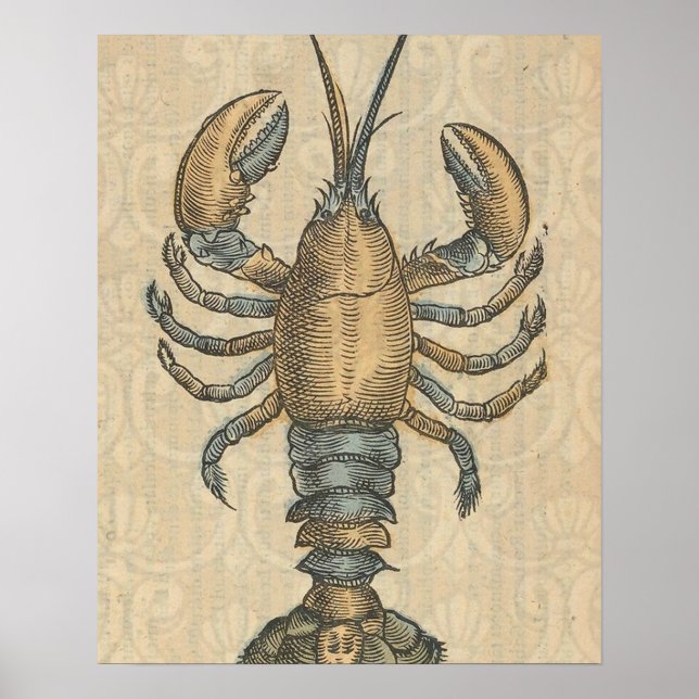 Hummerillustration Antik Maine Sjöföda Poster (Framsidan)