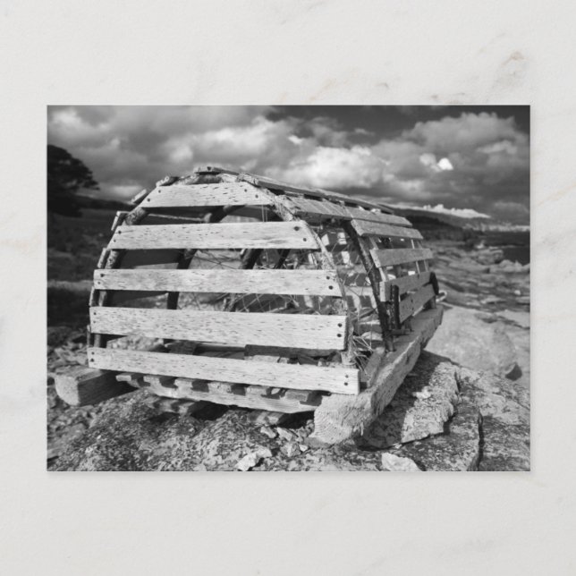 Hummerkruka Vykort (Framsida)