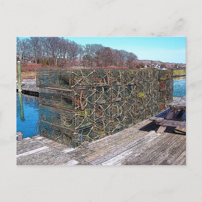 Hummerkrukar, York hamn, Maine - vykort (Framsida)