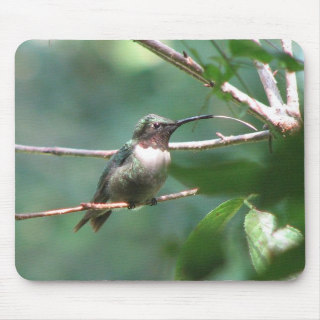 Hummerkyss Mousepad Musmatta (Framsidan)