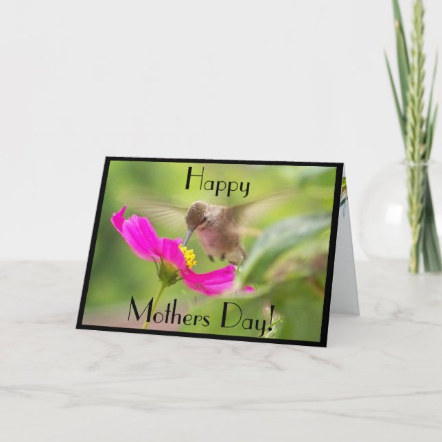 Hummermammor kort för dag (Framsida)