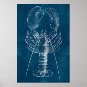 Hummerritning Poster
