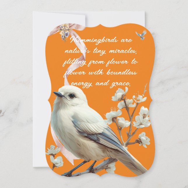 HUMMIGBIRDS ANTECKNINGSKORT (Framsida)