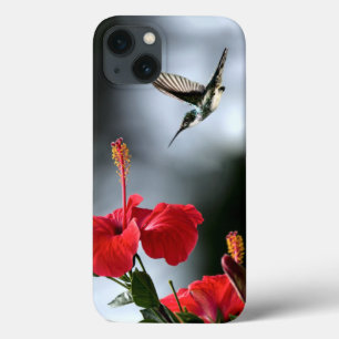 Humming Bird and Red Flower