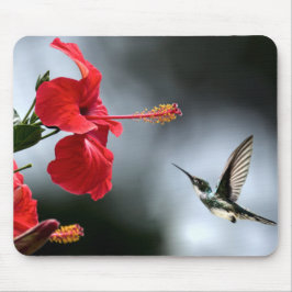 Humming Bird and Red Flower Musmatta