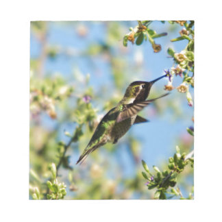 Humming Bird Anteckningsblock