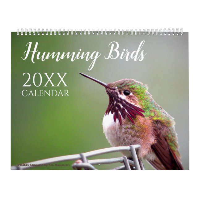 Humming Bird Calendar Nature Wildlife Photos Kalender (Omslag)
