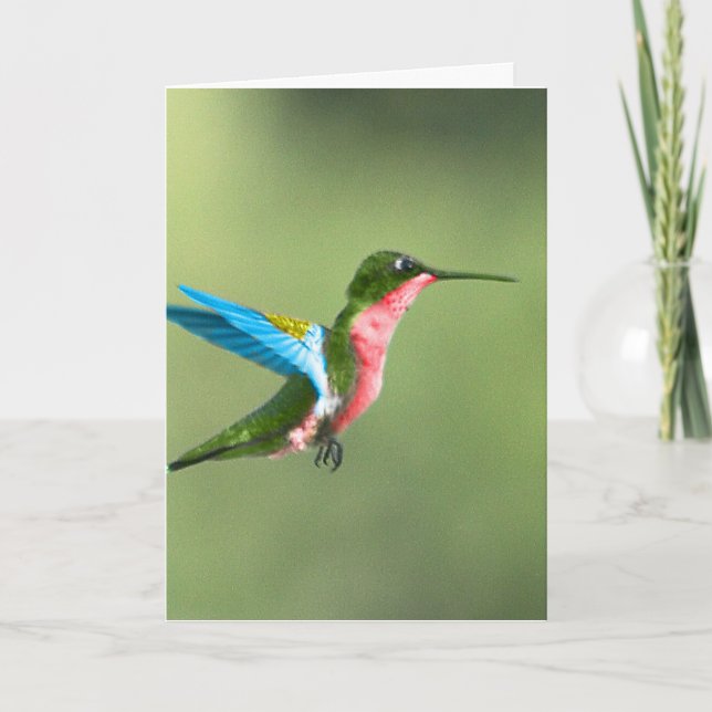 Humming Bird Card för tillfällen. Kort (Framsida)