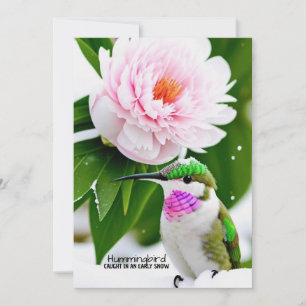 Humming Bird in Snö - Flat Card