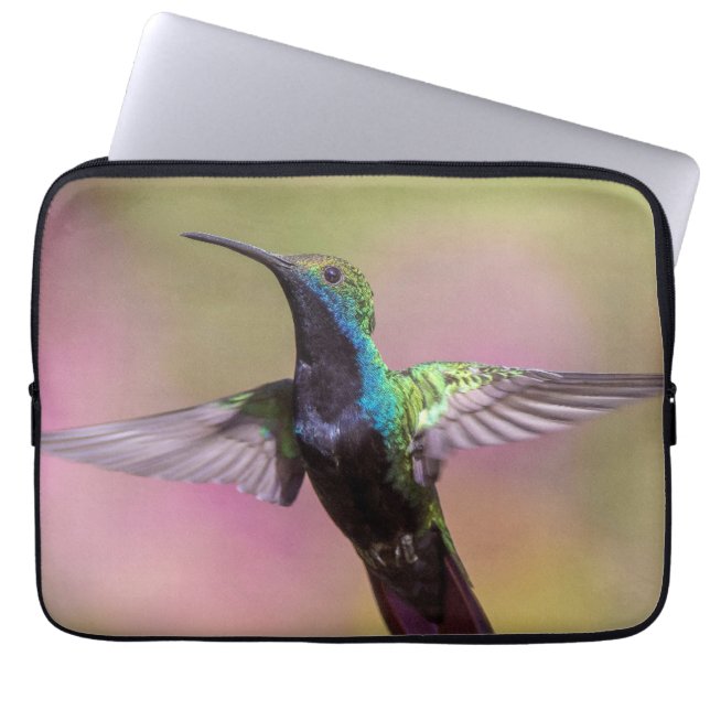Humming Bird Laptop Fodral (Framsidan)