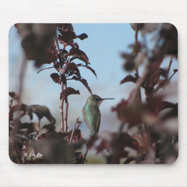 Humming Bird Mouse Pad Musmatta (Framsidan)