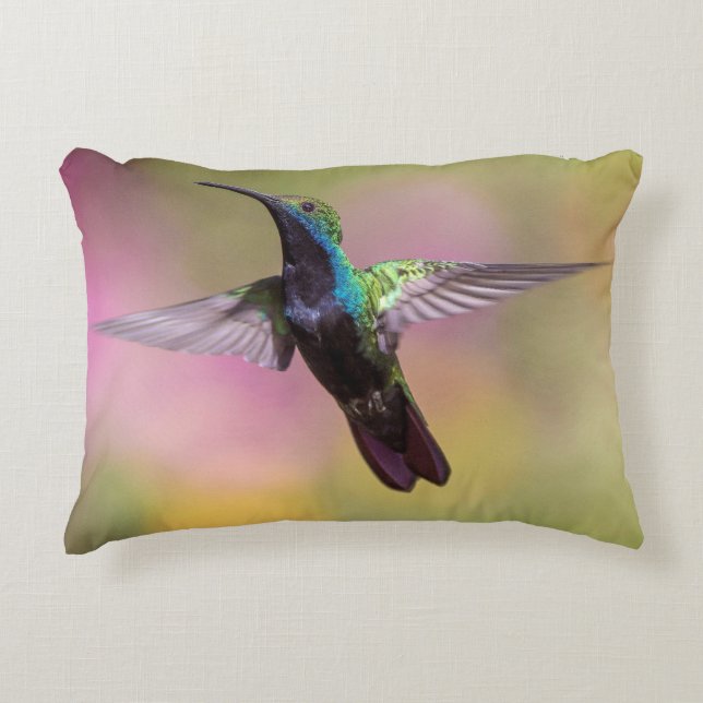 Humming Bird Prydnadskudde (Framsidan)