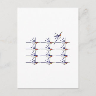 Humming Bird Vykort