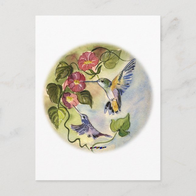Humming Birds Vykort (Framsida)