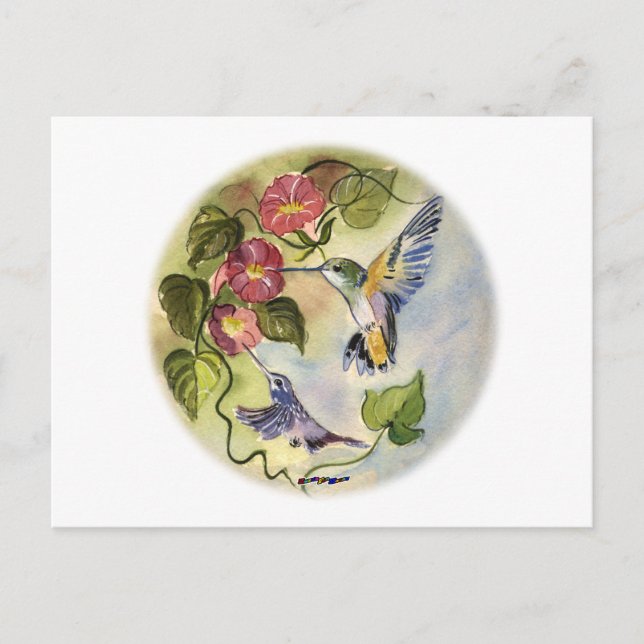 Humming Birds Vykort (Framsida)