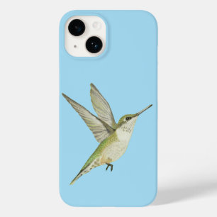 Hummingbird