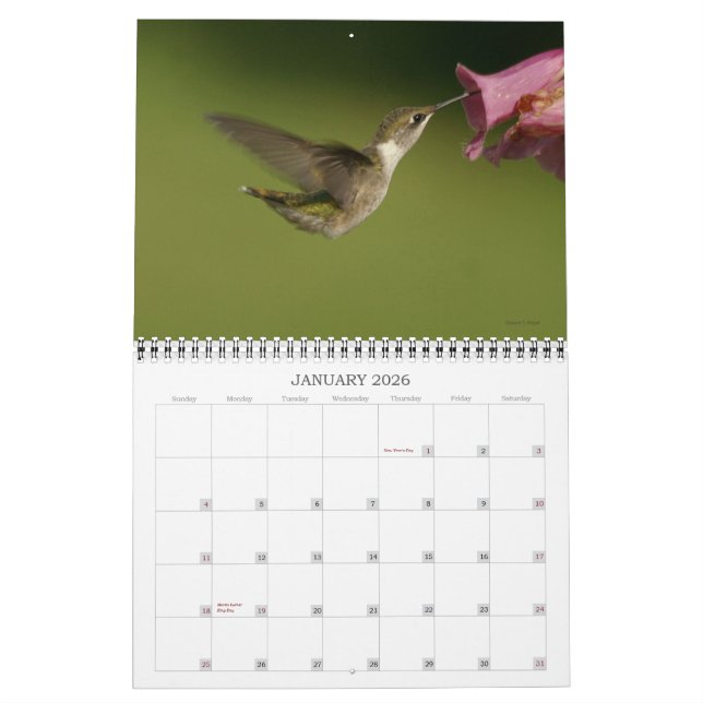Hummingbird - 2010 kalender (Jan 2026)