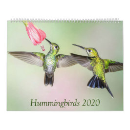 Hummingbird 2020 Vackra fotokalender Kalender