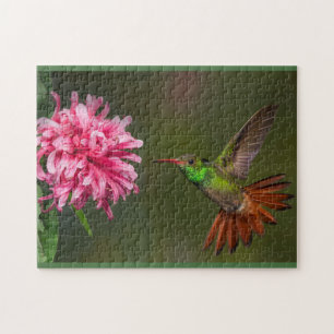 Hummingbird 250 delara puzzel pussel