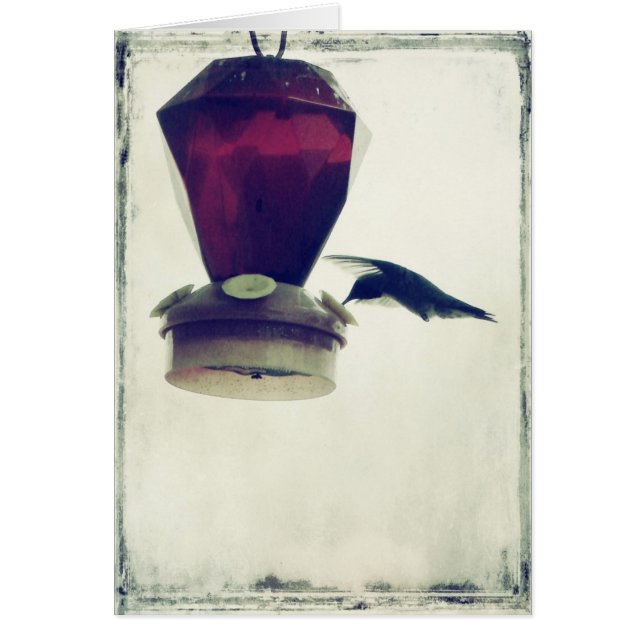 Hummingbird 2 hälsningskort (Framsidan)