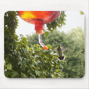 Hummingbird 2 , Mousepad Musmatta