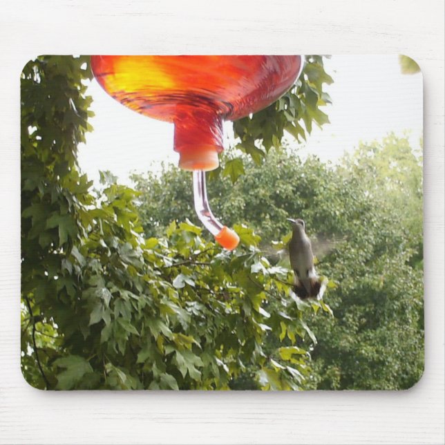 Hummingbird 2 , Mousepad Musmatta (Framsidan)