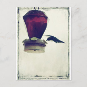 Hummingbird 2 vykort