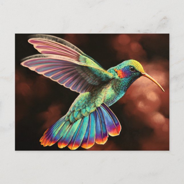 Hummingbird 2-vykort vykort (Framsida)