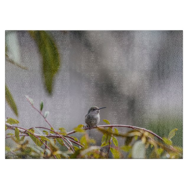 Hummingbird 3346 (Framsidan)